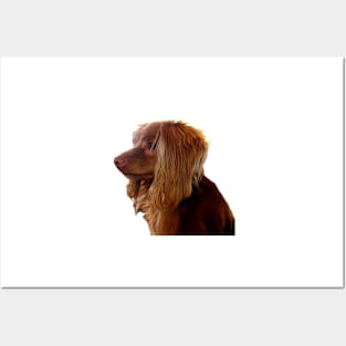 Dog - Cocker Spaniel - Misty Posters and Art